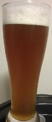 beer recipe photo
