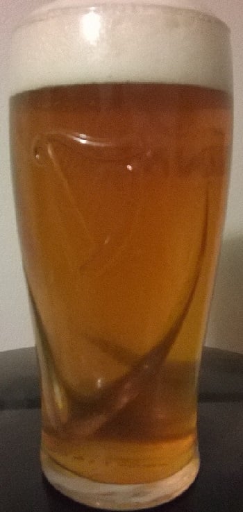beer recipe photo